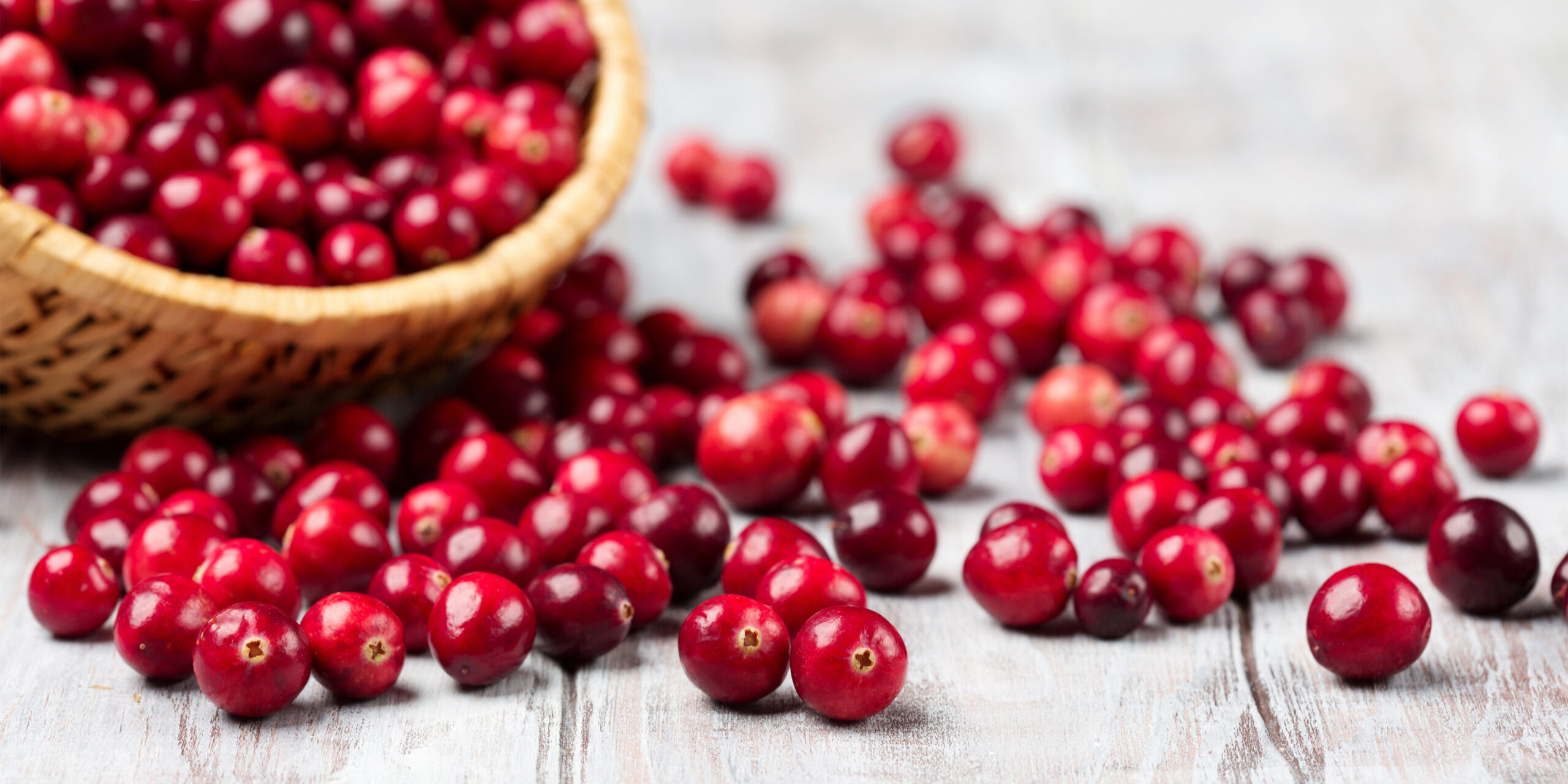 Cranberry