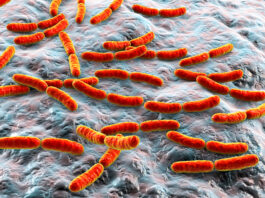Probiotici, microbiota e cancro LGG