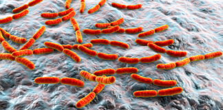 Probiotici, microbiota e cancro LGG