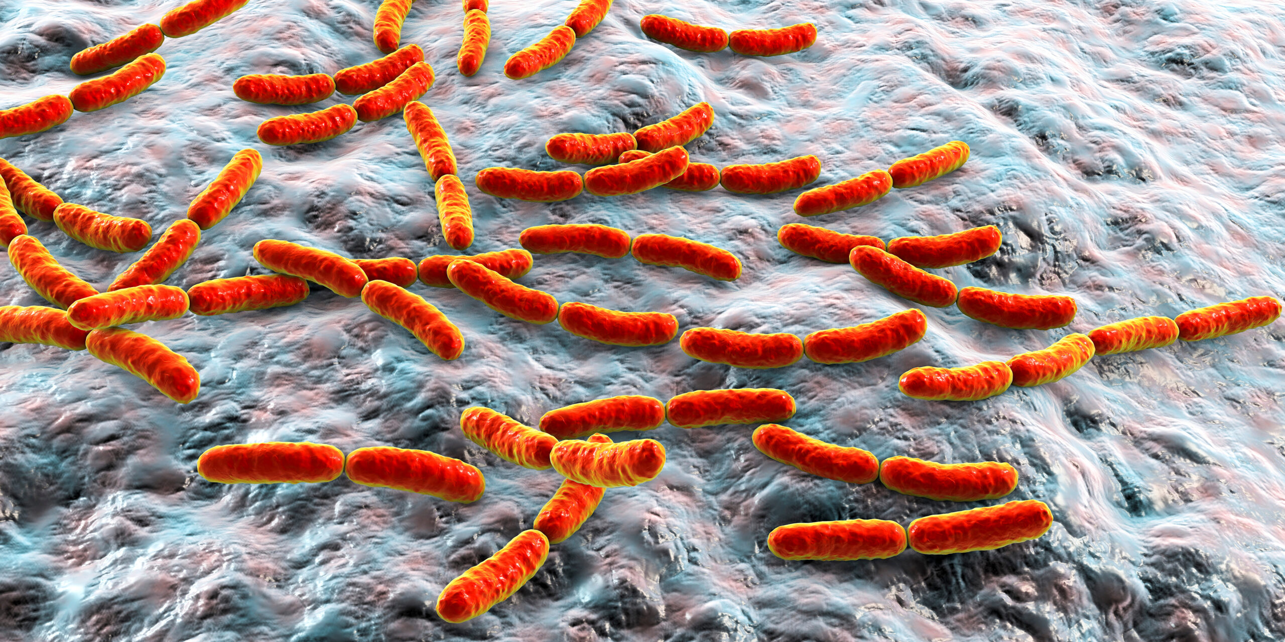 Probiotici, microbiota e cancro LGG
